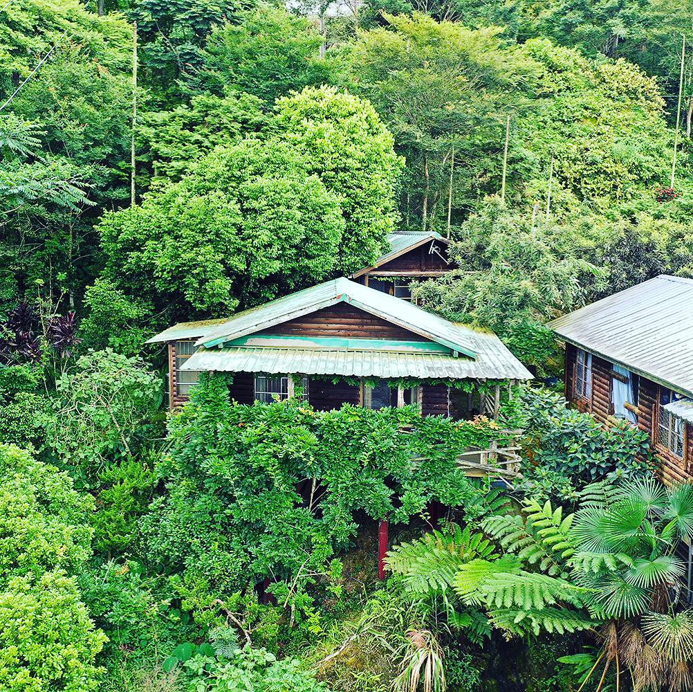 2026雲林避暑首選｜綠原休閒渡假飯店：草嶺森林木屋與絕美地質景觀的療癒之旅