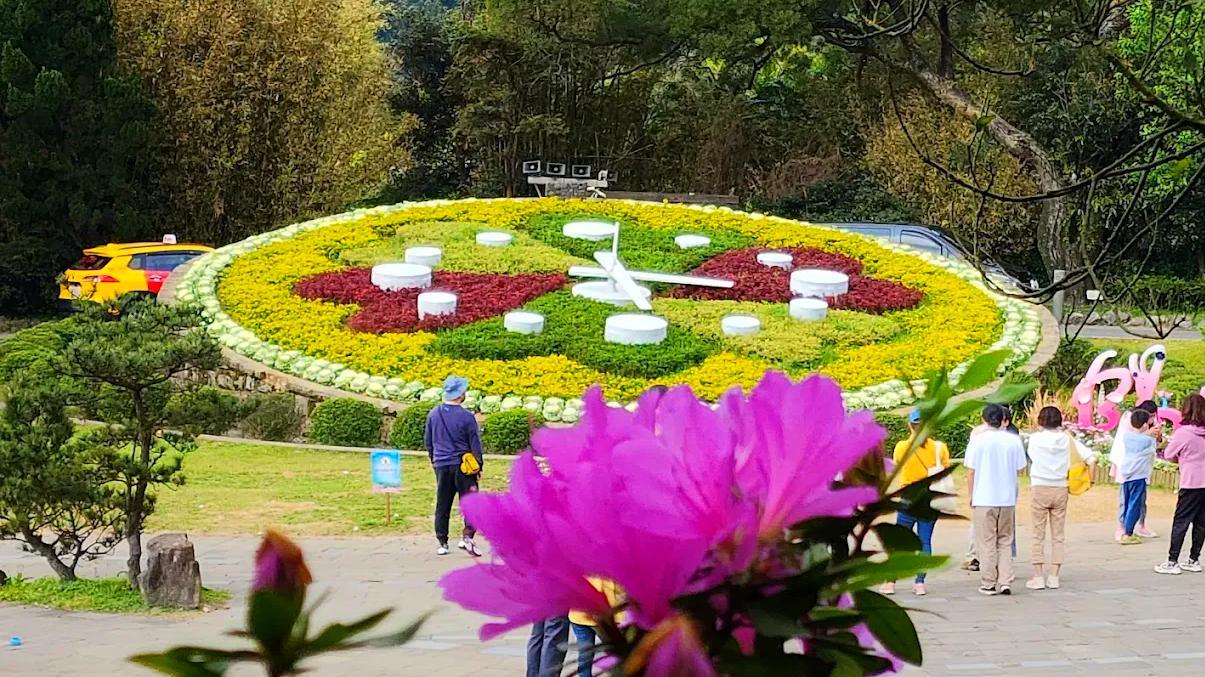 2026陽明山花季盛大登場！漫步粉紅櫻花海、打卡花鐘地標與景觀餐廳全攻略