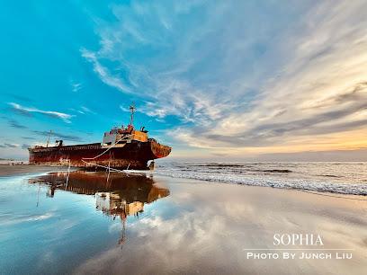 2026台南深度旅遊指南：揭開黃金海岸喜樹秘境與隱藏版自然絕景的神秘面紗