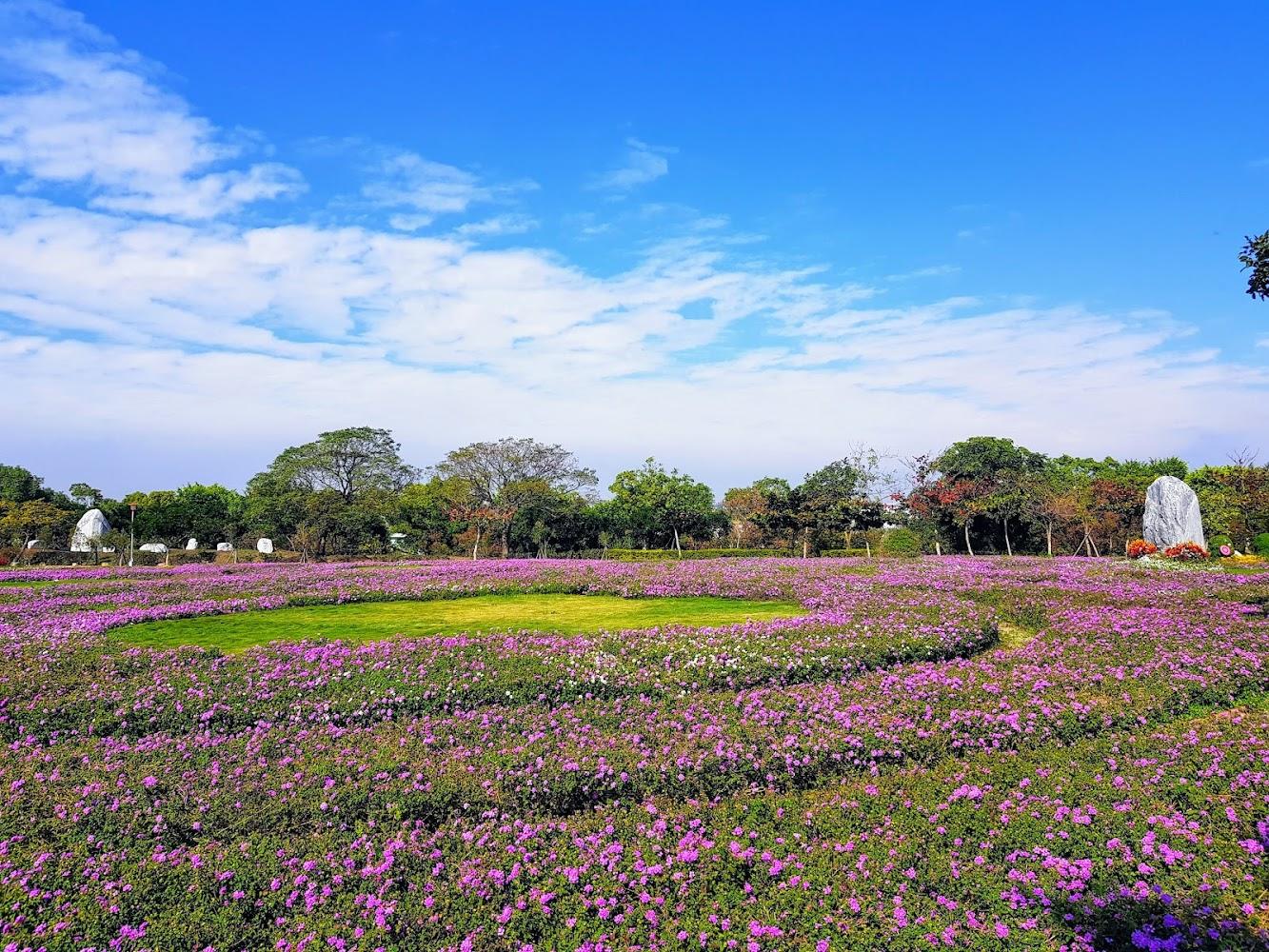 2026台中后里環保公園：垃圾掩埋場華麗轉身，20公頃「大地拼圖」花海、落羽松、360度環景攻略