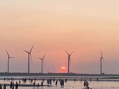 2026 台中清水高美濕地全攻略：漫步「天空之鏡」與夕陽風車交織的絕美生態之旅