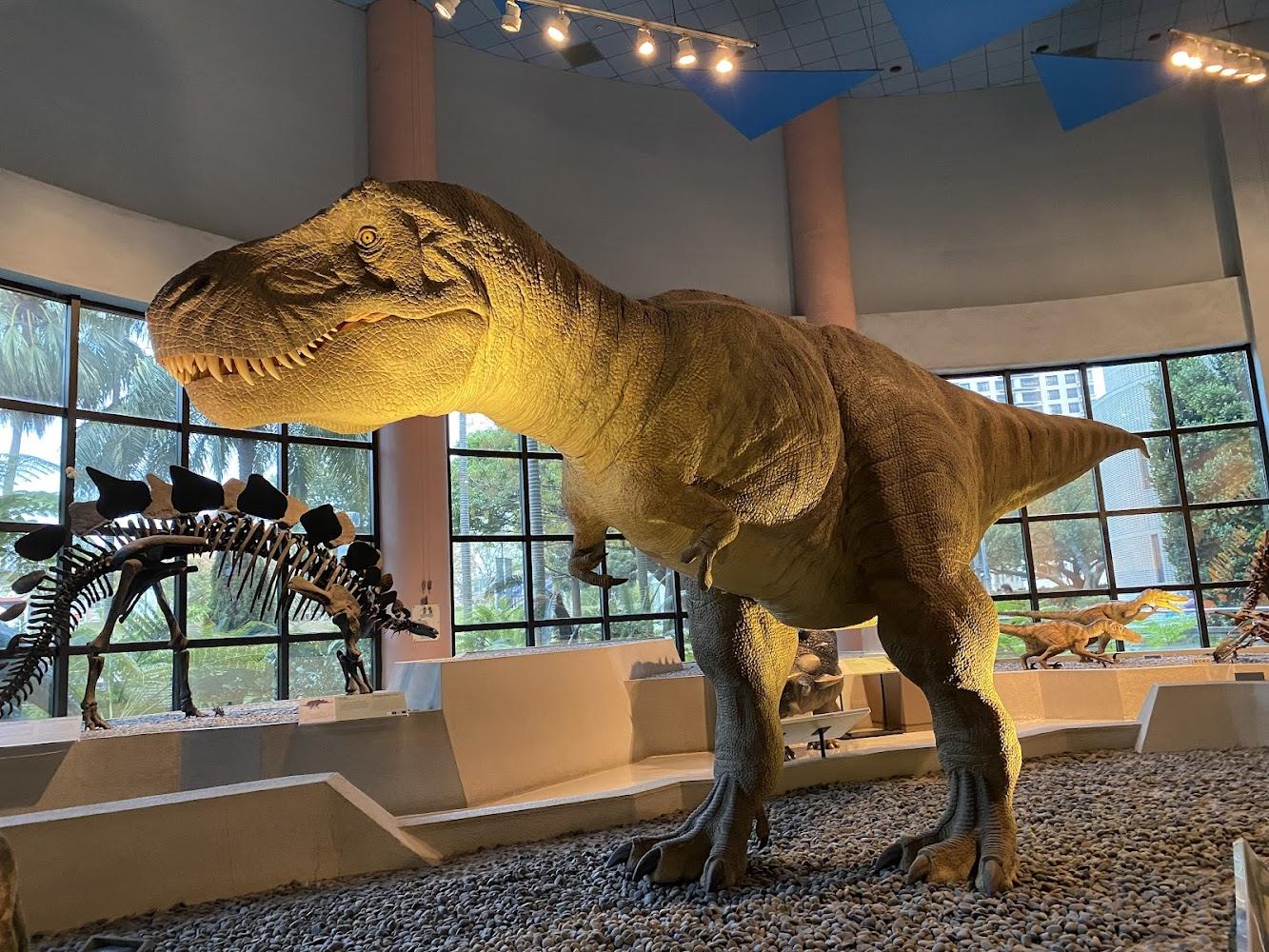 2026 台中必訪！國立自然科學博物館全攻略：從擬真恐龍到熱帶雨林的知性冒險