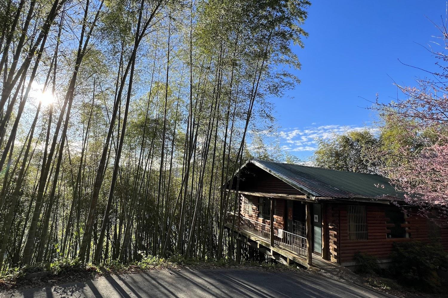 2026雲林草嶺避暑首選！綠原休閒渡假飯店：全原木屋房型與萬坪森林，打造最療癒的自然祕境