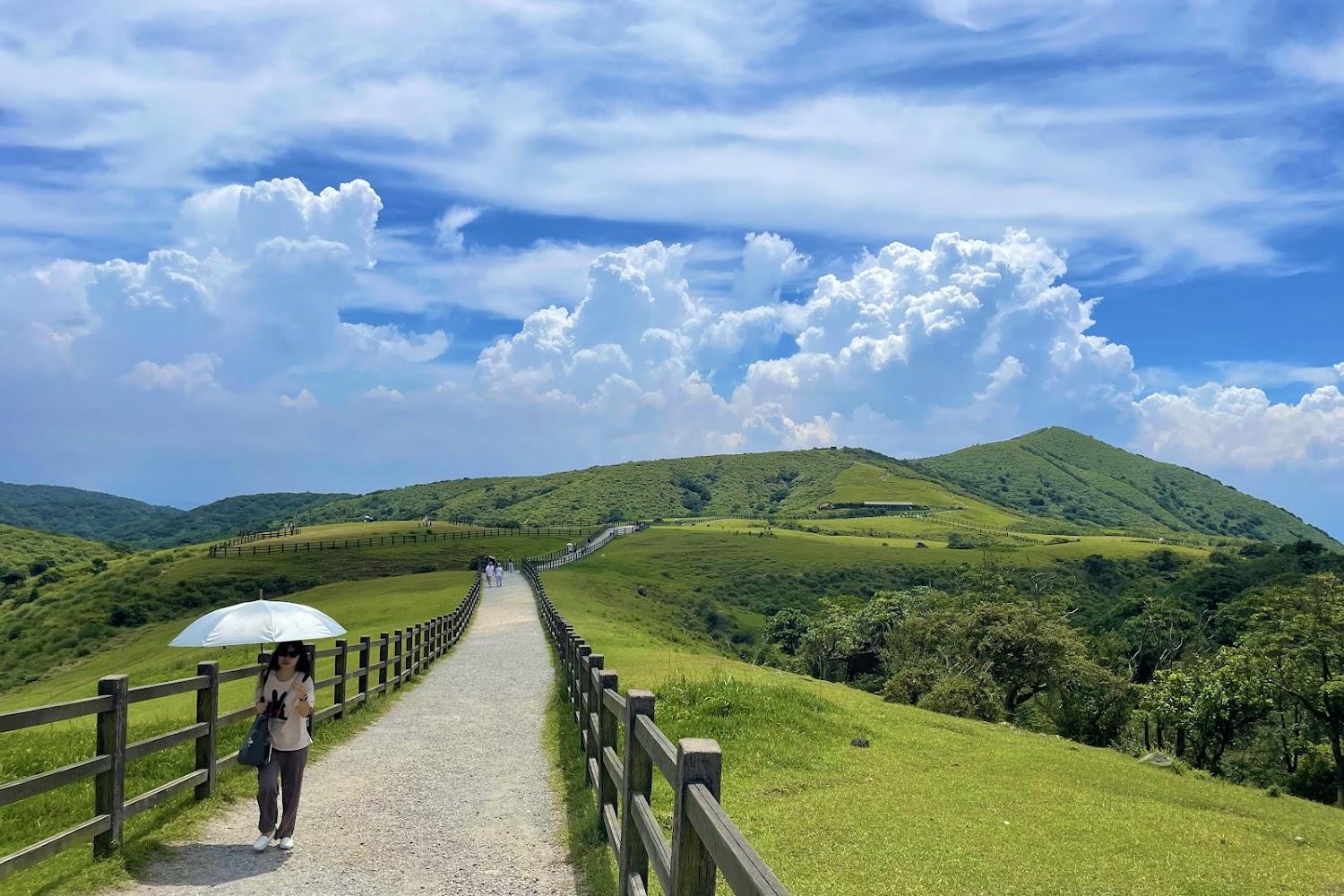 2026陽明山旅遊全攻略：探索火山地景、經典步道與四季花海的後花園魅力