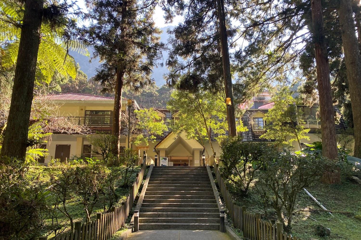 2026 溪頭避暑首選！Success Banner 飯店億元改裝「銀杏樓」新登場，平日 3,980 元享一泊二食與芬多精假期