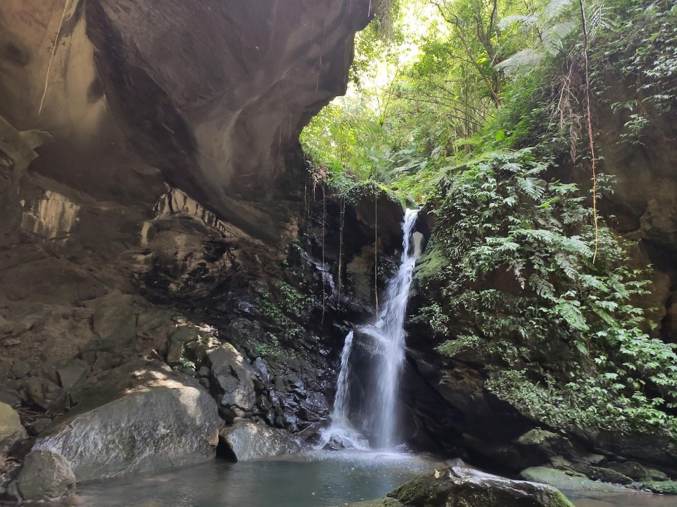 2026桃園觀光新魅力：探訪三民蝙蝠洞天然劇場，大溪老街與森林美學全攻略