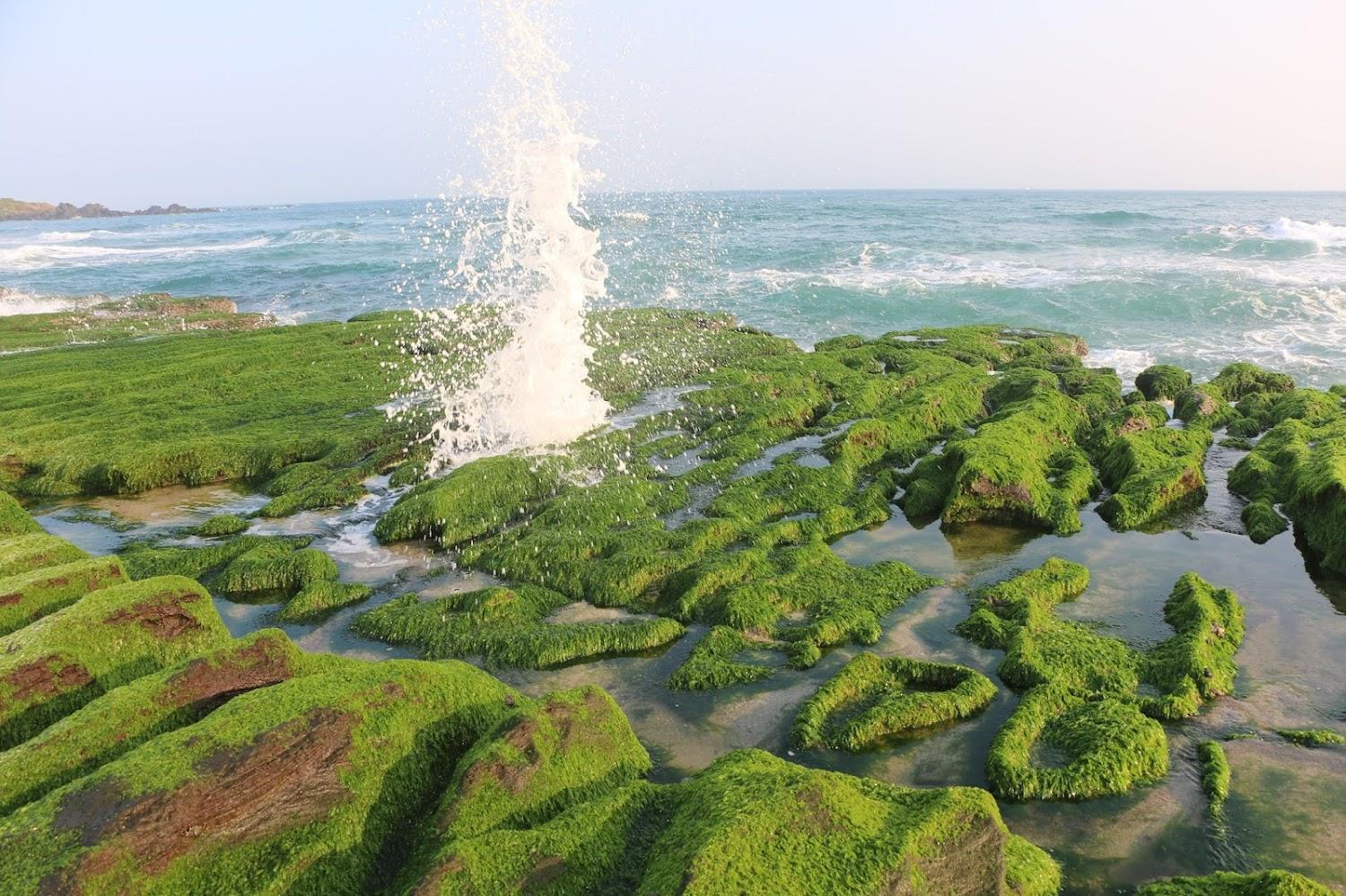 2026全台最美海岸線！北海岸必訪5大秘境：從跳石步道到老梅綠石槽的蔚藍饗宴