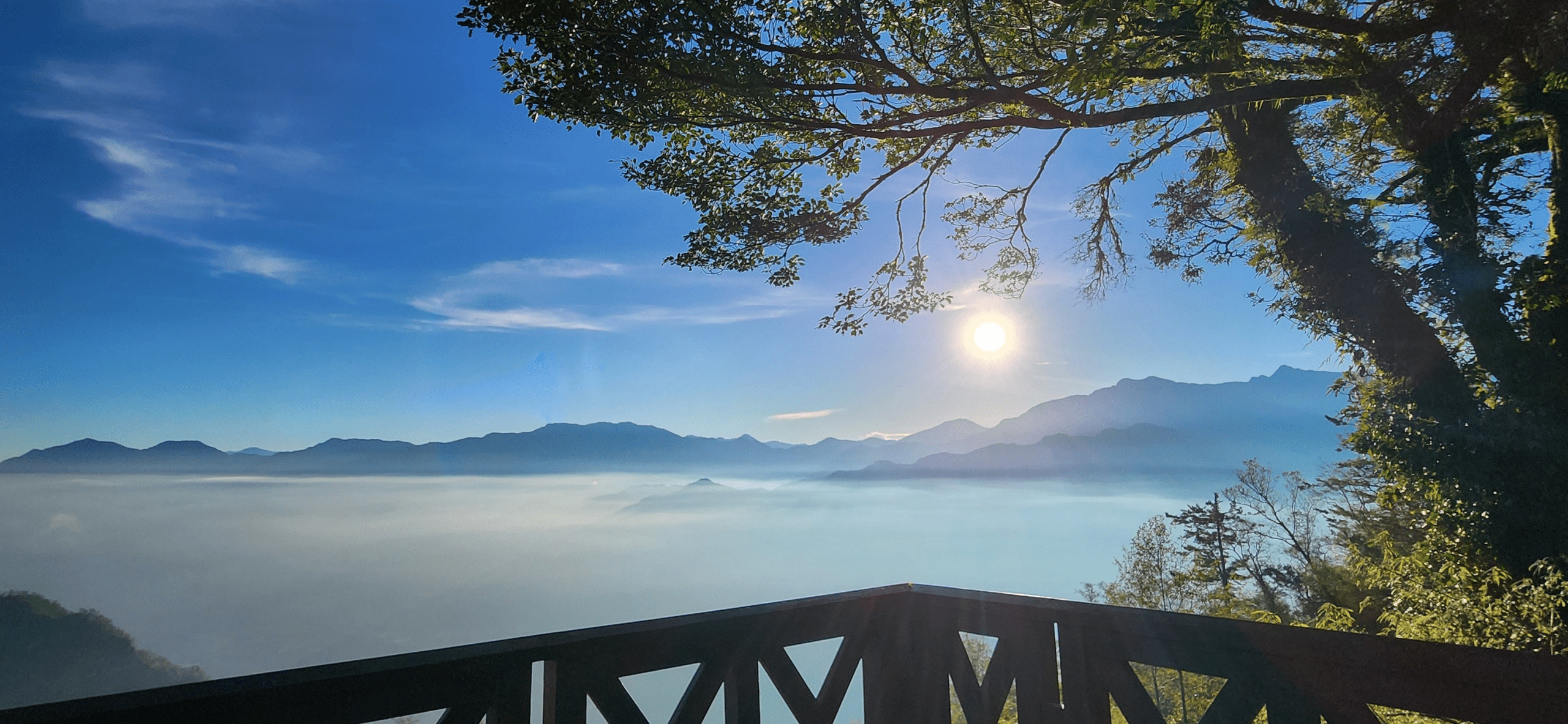 2026 阿里山旅遊全攻略：漫步雲端森林，探索五大奇景與百年鐵道之美