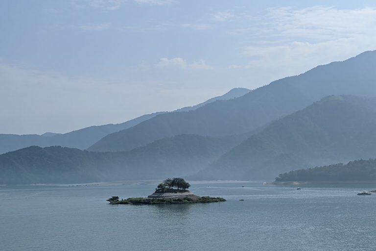 2026南投療癒之旅：從向山懸臂觀景台到溪頭森林，必訪絕美地標與高空美景全攻略