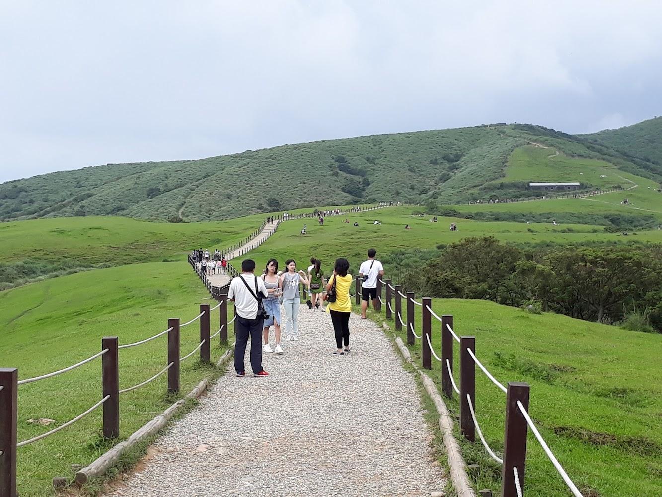 2026台北療癒綠洲指南：從陽明山到市區秘境，五大必訪自然景點大公開