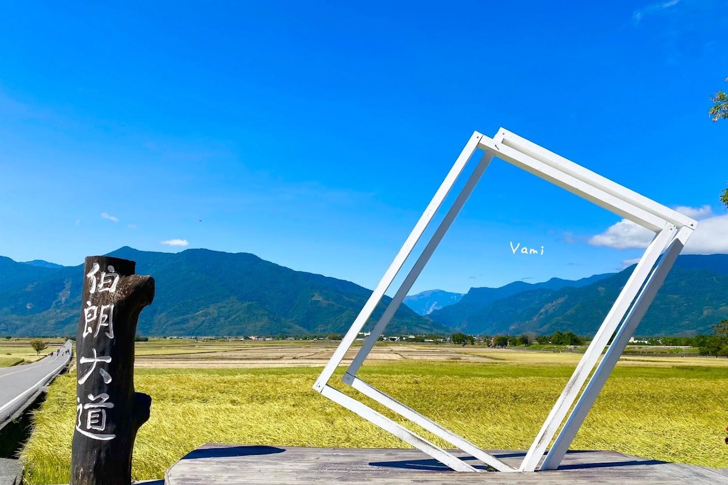 2026台東池上秋冬攻略：漫遊伯朗大道金黃稻浪、金城武樹與天堂路美景全指南