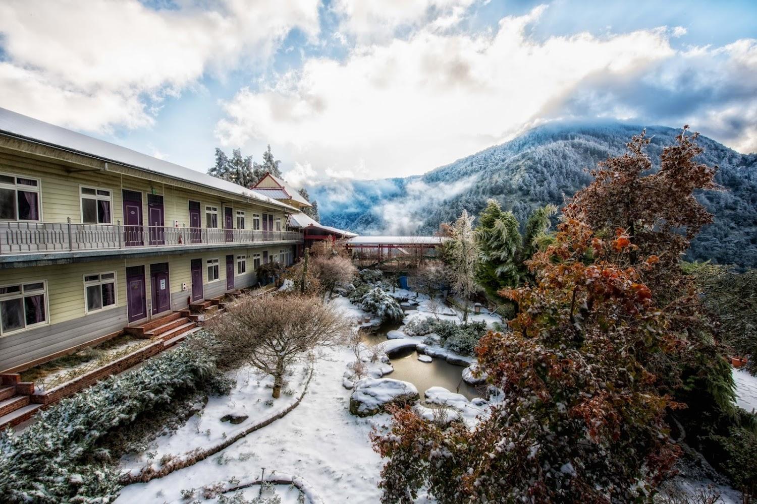 2026福壽山農場櫻花季盛大登場！千櫻園粉紅花海震撼感官，高海拔賞櫻攻略、攝影時段及門票新制全解析