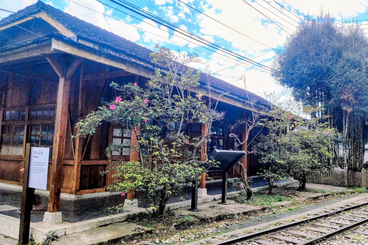 2026 阿里山林鐵全線通車：百年鐵道重返巔峰，跨越雲端的森林奇幻之旅全攻略