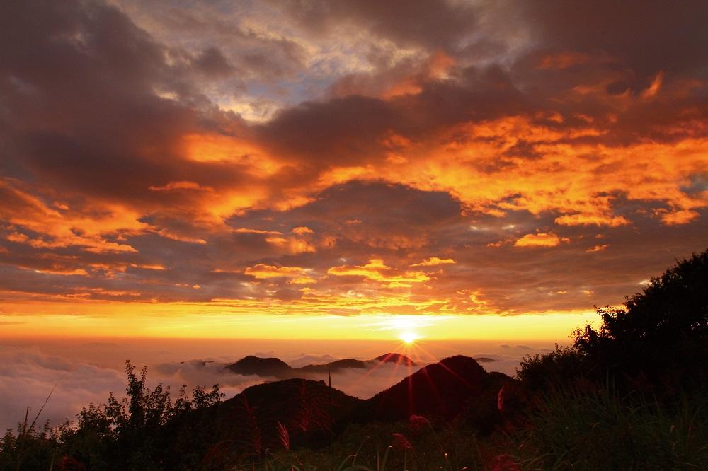 這個週末走進國家森林遊樂區，在瀑布與雲海之間慢慢把呼吸找回來