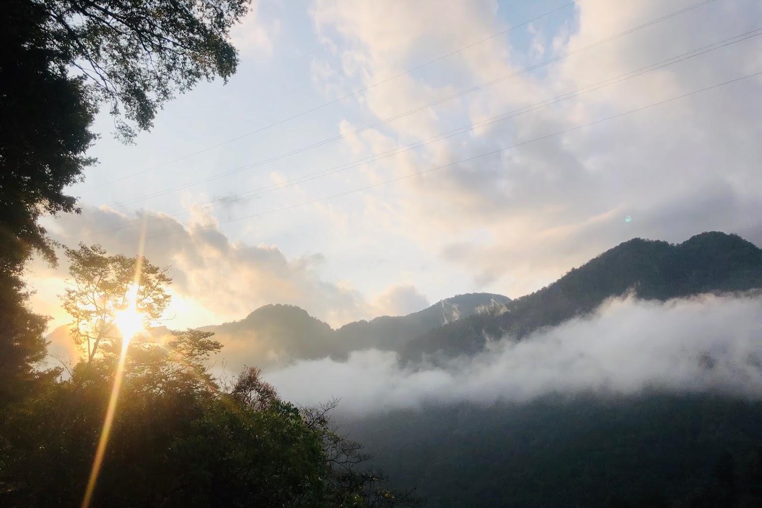 2026大雪山國家森林遊樂區攻略：雲海、神木與國際級賞鳥聖地全紀錄