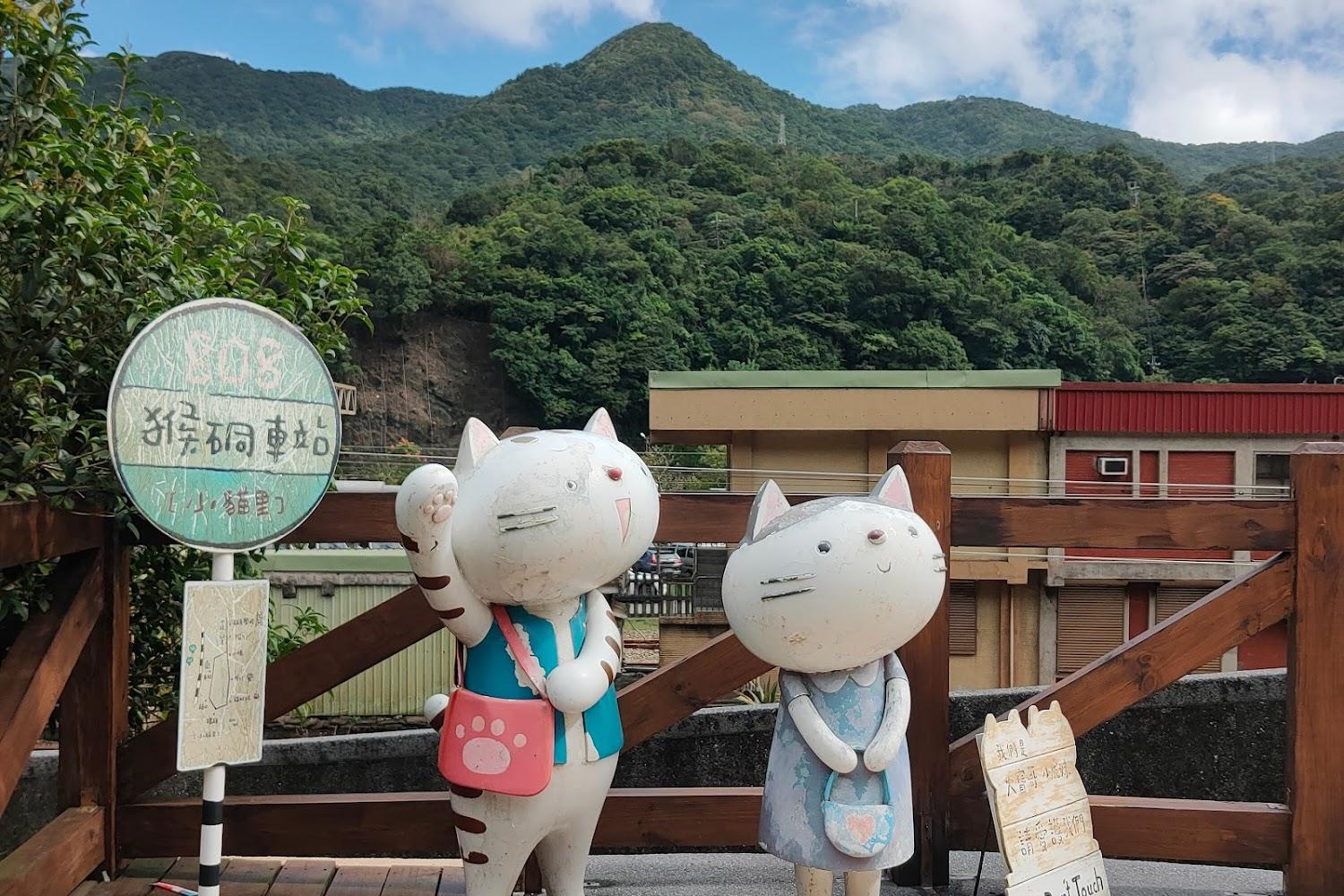 2026 猴硐貓村深度遊攻略：穿梭黑金歲月與貓咪天堂，CNN 評選世界級療癒聖地全紀錄