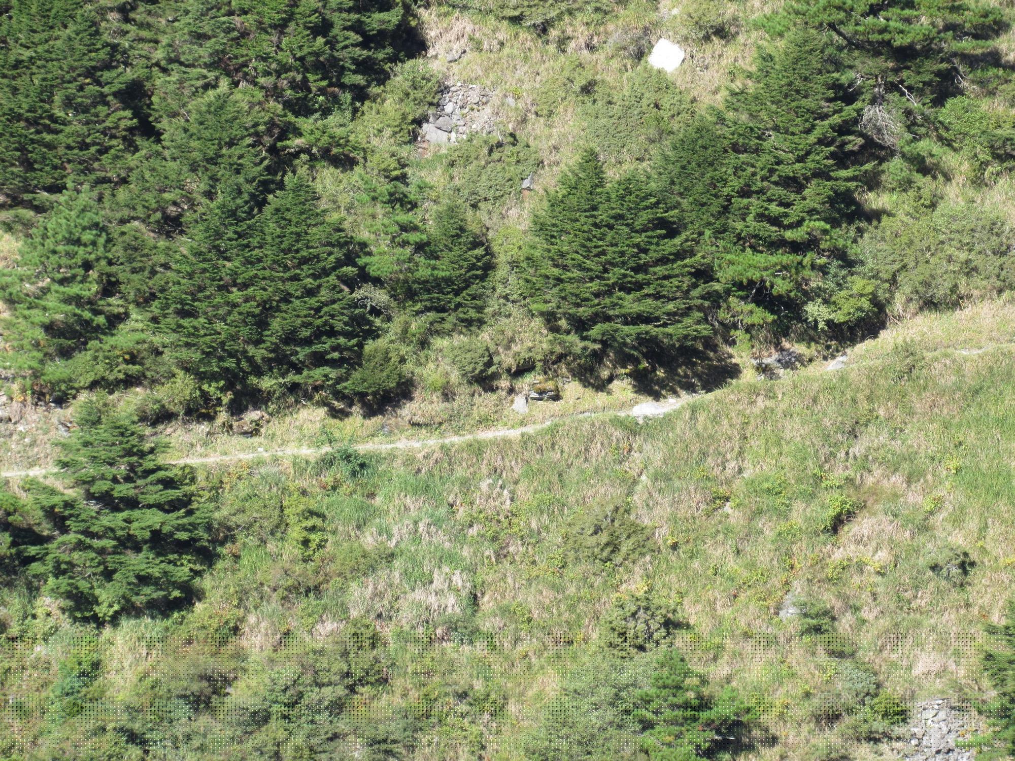 沿著能高越嶺道走進天池山莊,在雲海翻湧的傍晚住一晚