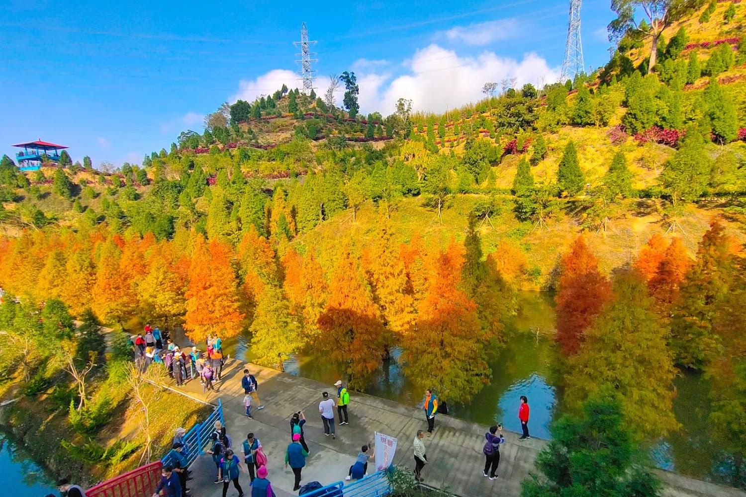 2026苗栗旅遊全攻略：從落羽松秘境到三義斷橋，盤點必去五大網美打卡景點