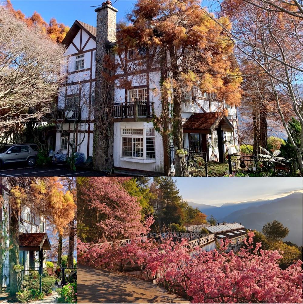 【2026最新】南投清境農場全攻略：漫步「台灣小瑞士」雲端草原，體驗綿羊秀、馬術秀與高空步道的極致療癒