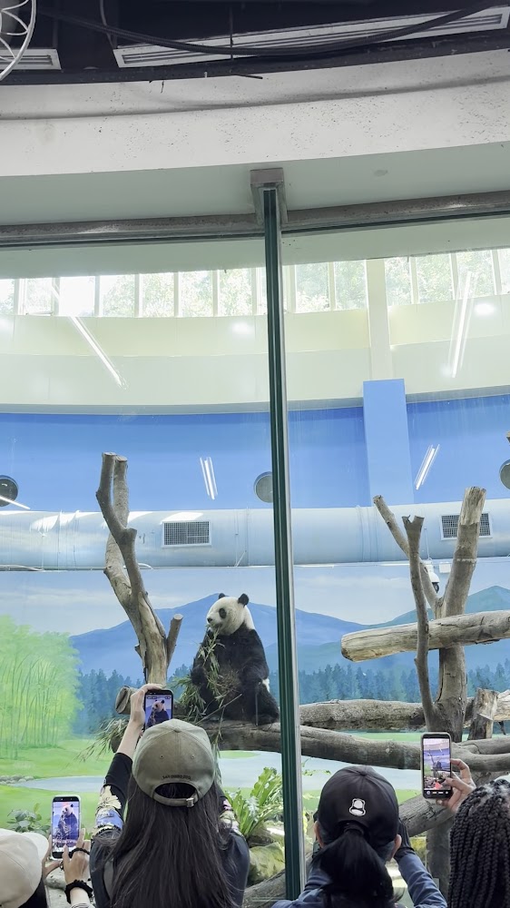 2026台北市立動物園攻略：圓仔萌樣、台灣黑熊與穿山甲保育，親子生態旅遊首選目的地