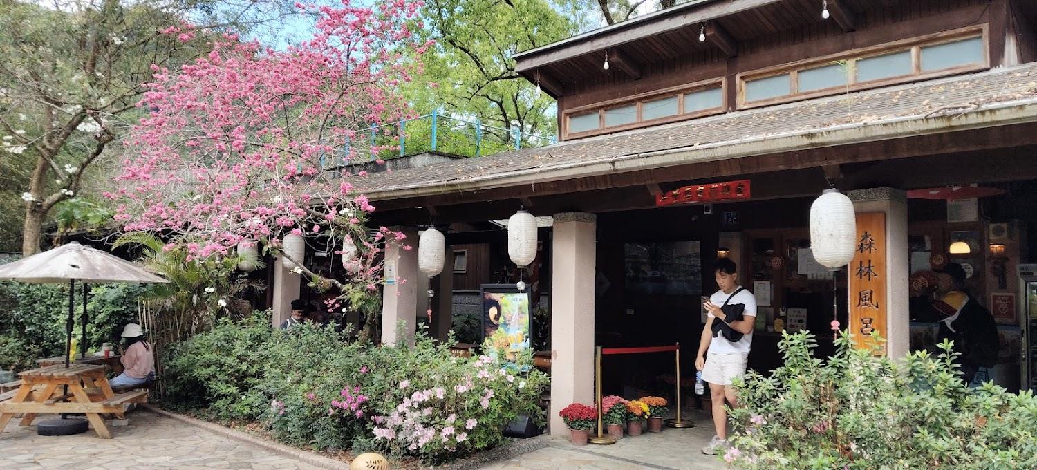 2026 宜蘭礁溪溫泉深度之旅：森林風呂、日式足湯與療癒小動物，冬日最溫暖的慢活提案