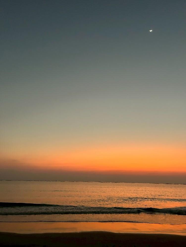 2026台南漁光島旅遊全攻略：走訪月牙灣森林、捕捉最美落日與藝術節魅力