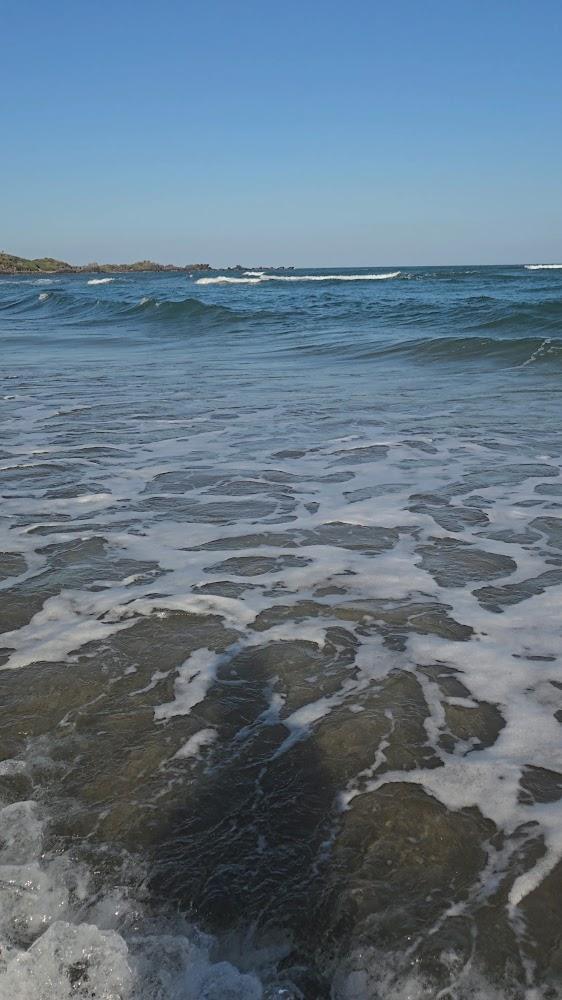 2026北海岸旅遊全攻略：從觀音山壯闊山景到金山神秘海岸，體驗山海雙重奏的極致渡假！