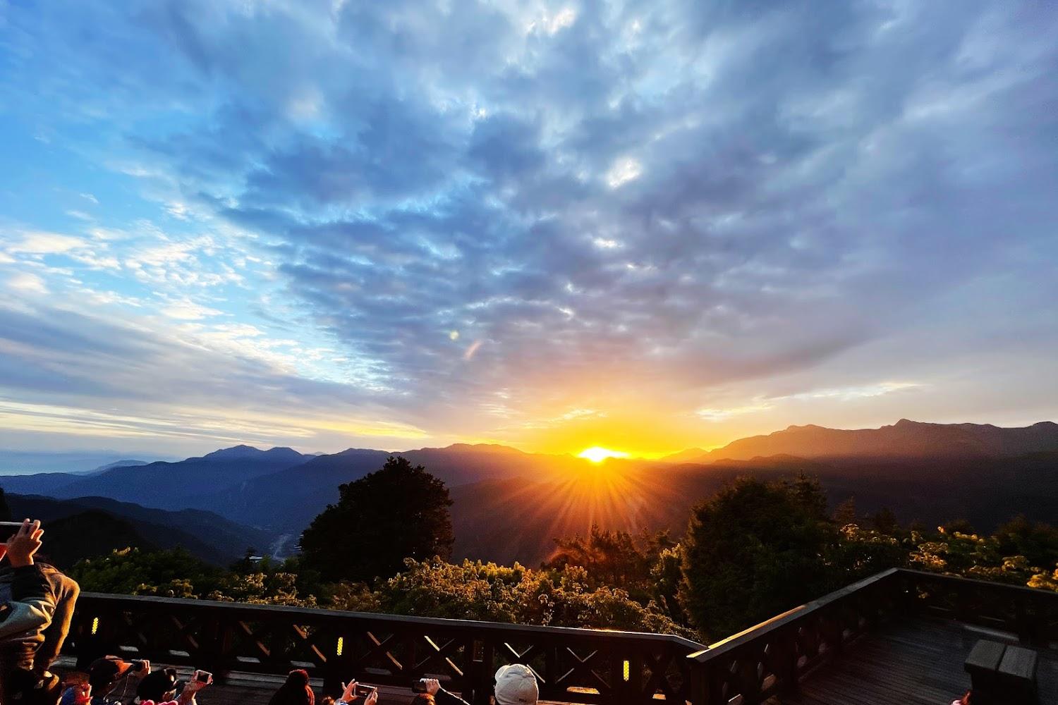 2026 阿里山旅遊全攻略：走進雲海日出與千年巨木的夢幻之境