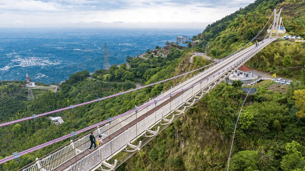 2026嘉義梅山旅遊全攻略：雲海太平雲梯、三十六彎與精品茶香的深度洗禮