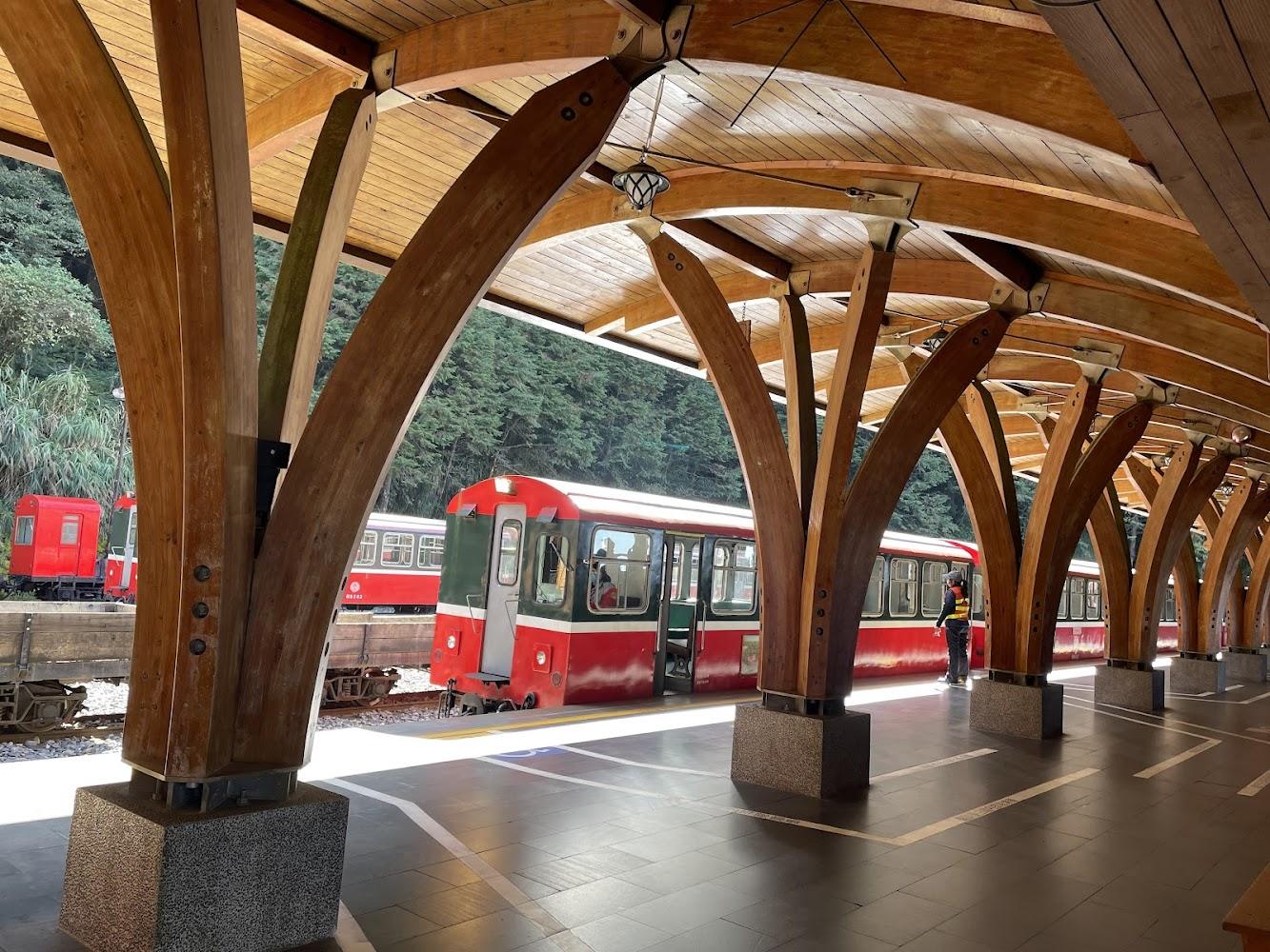 2026 全線通車！阿里山林業鐵路百年傳奇再現：深度探尋雲端軌道與森林芬多精之旅