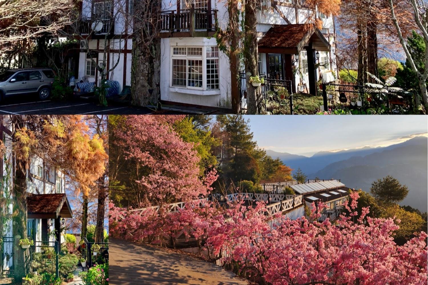 2026清境農場旅遊全攻略：漫步雲端北歐風光，體驗經典綿羊秀與高山避暑仙境