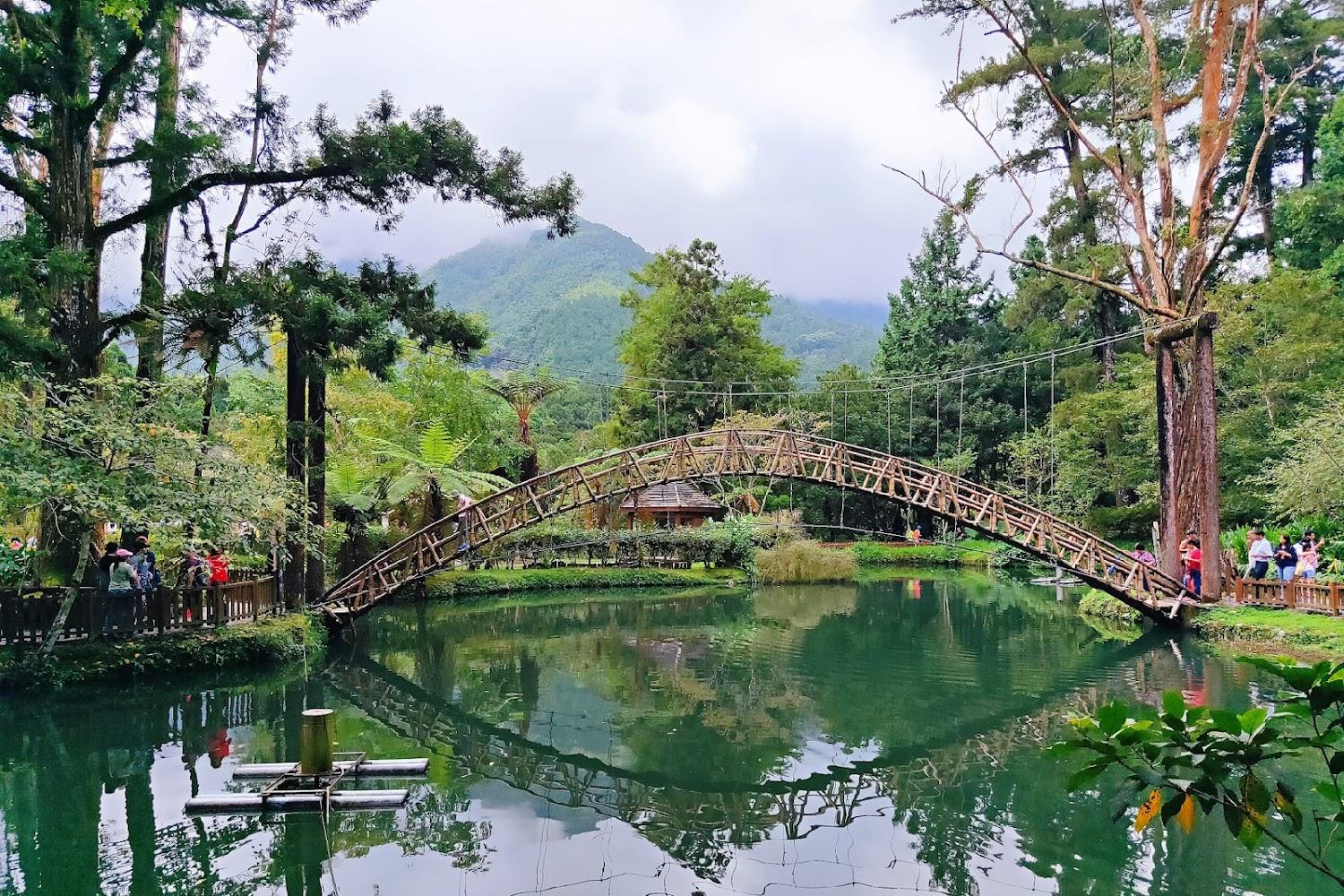 2026南投避暑首選！溪頭飯店銀杏樓「森林療癒」深度體驗，一泊二食盡享山珍美味