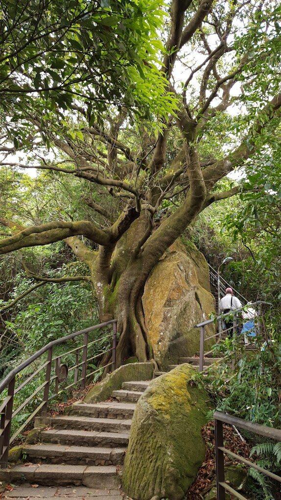 2026 北台灣旅遊全攻略：延續 2025 觀光熱潮，必訪象山、陽明山與基隆的夢幻清單