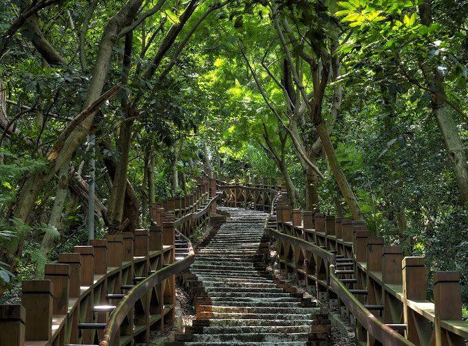 2026新竹健行地圖：從鳳崎落日到司馬庫斯巨木，五大絕美步道全攻略