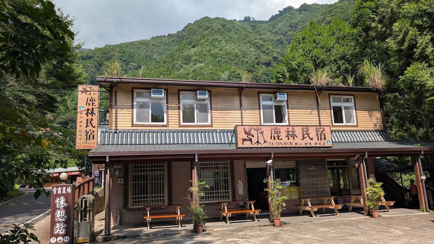 2026 觀霧山莊深度指南：坐擁雪山聖稜線絕景，探訪「霧社櫻王」與高山雲海仙境