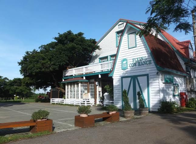 2026親子旅遊首選！苗栗通霄「飛牛牧場」深度攻略：走進台版小歐洲，體驗最有溫度的自然與食農教育