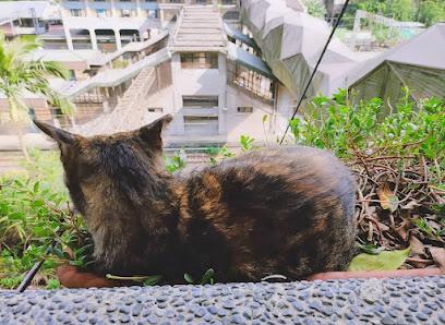 2026 猴硐貓村深度指南：從黑金歲月到 CNN 世界級賞貓勝地，礦業古蹟與人貓共生的療癒之旅