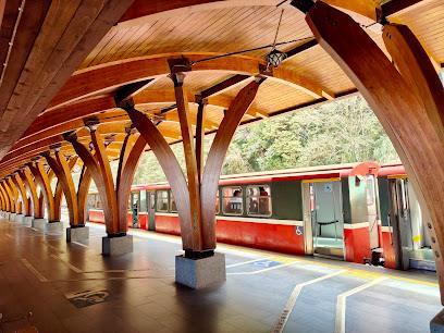 2026 阿里山林鐵全線通車全攻略：橫跨百年的雲端鐵路，重現世界級登山軌道奇蹟