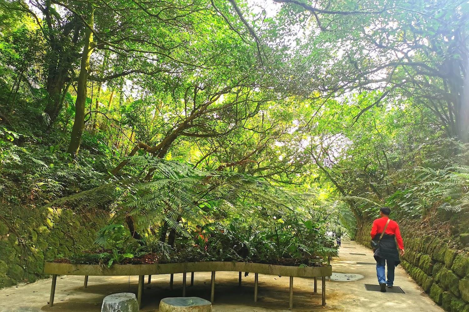 探索台灣鐵道起點：基隆劉銘傳隧道，走進清領時期的百年工藝與時光遺產