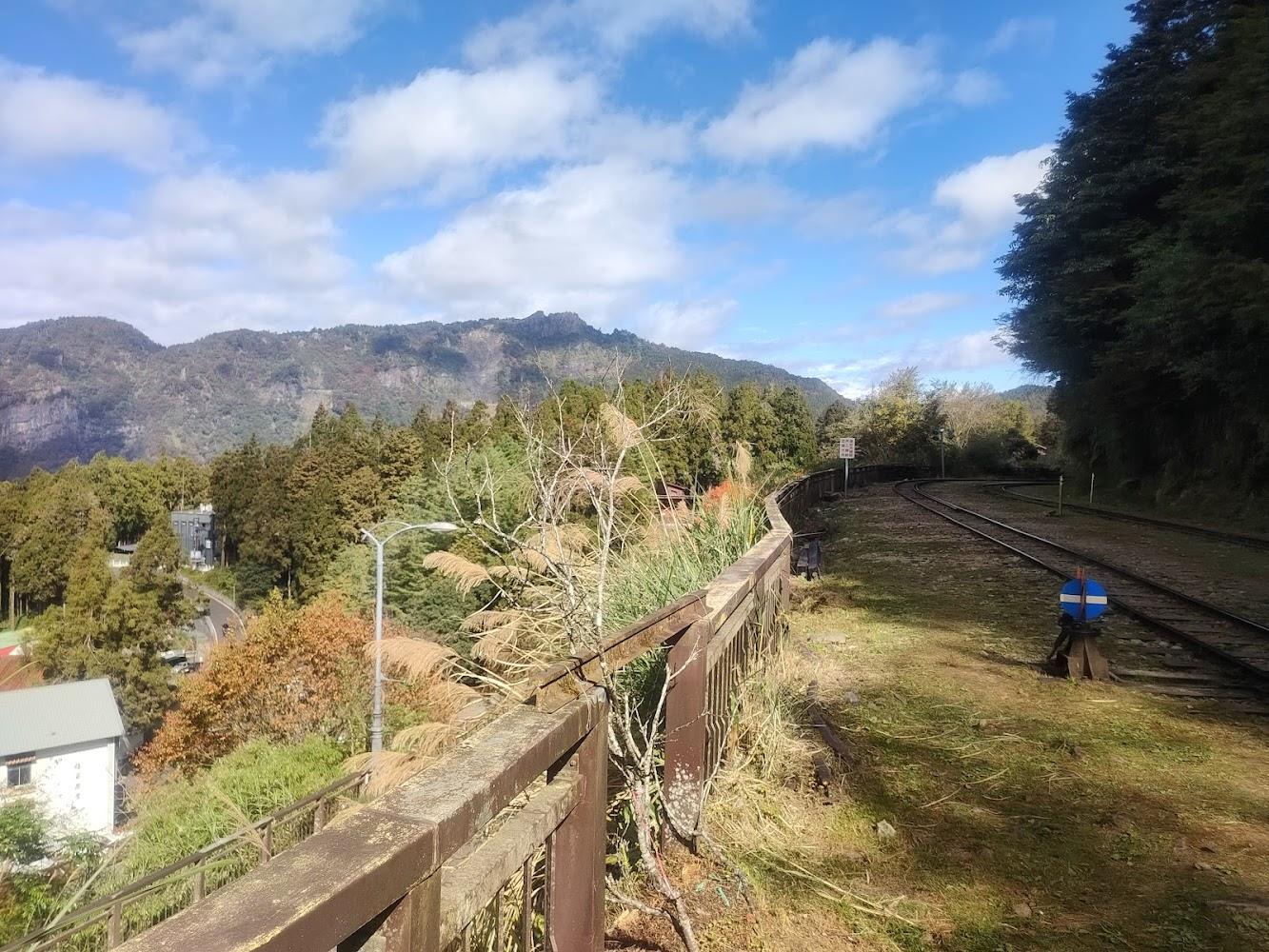 2026阿里山小火車深度旅遊全攻略：探訪百年機車庫、體驗雲端鐵道與高山美食傳奇