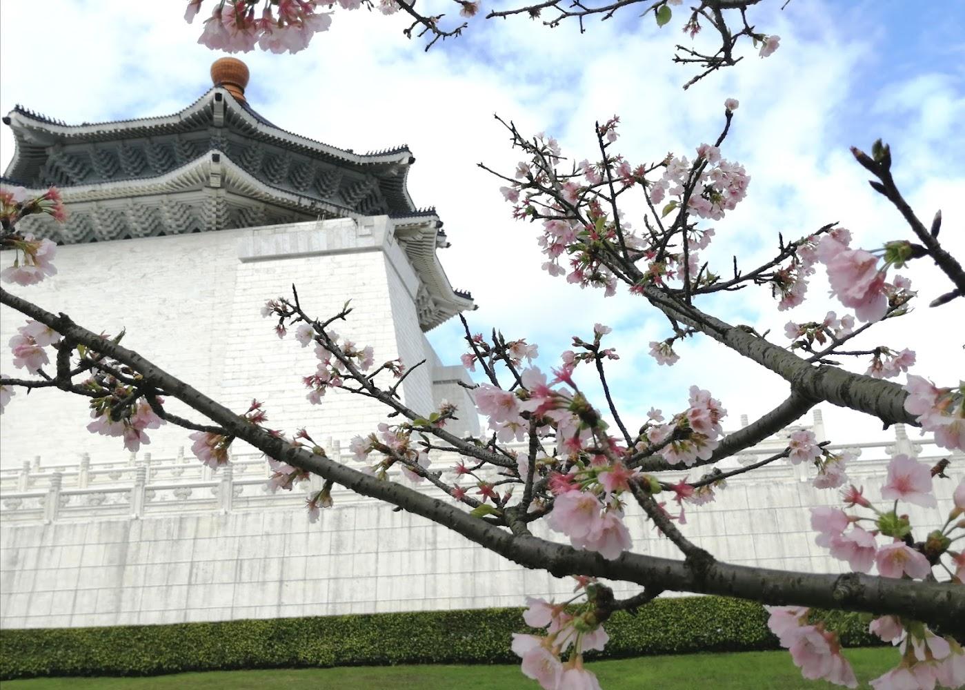 2026 台北必訪地標：中正紀念堂全攻略，從壯麗建築、櫻花美景到藝文盛宴的感官之旅