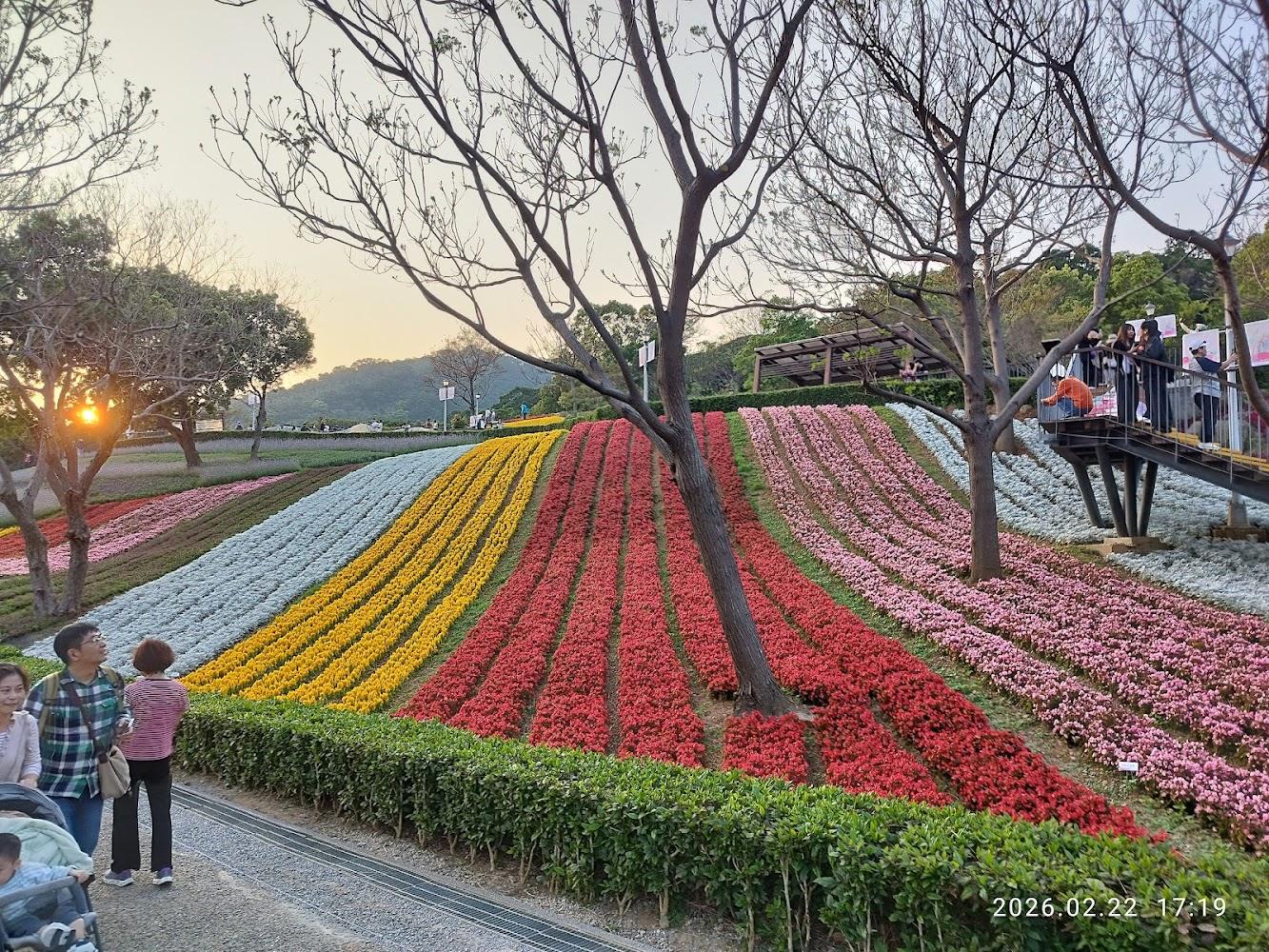 2026北投社三層崎公園花海盛開！「台版富良野」彩色地毯美翻，春日必訪打卡聖地全攻略