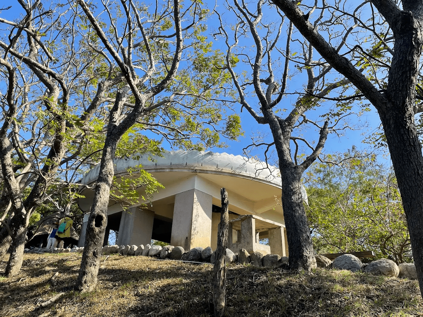 2026苗栗通霄虎頭山公園全攻略：日式神社、軍事遺蹟與海線落日秘境