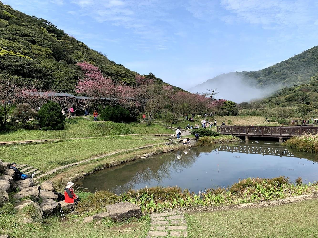 2026陽明山旅遊全攻略：探索竹子湖花海、擎天崗草原與冷水坑名湯一日遊