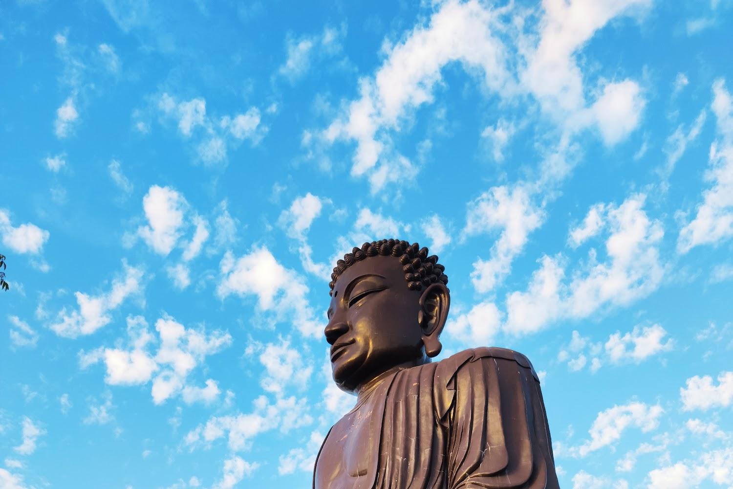 2026彰化旅遊首選：八卦山大佛風景區，漫步全台最長天空步道，體驗都市森林的靈魂洗禮