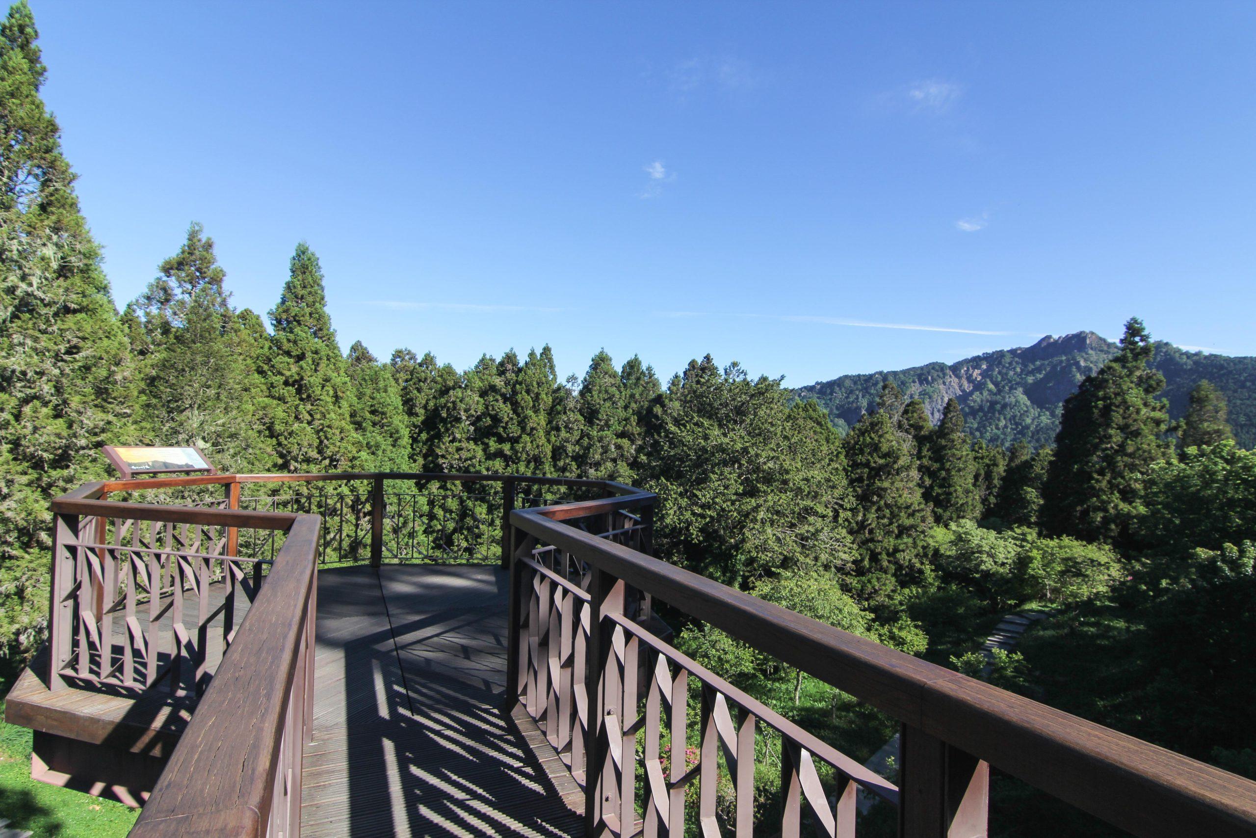 清晨走進阿里山國家森林遊樂區迎著日出與翻湧雲海前行