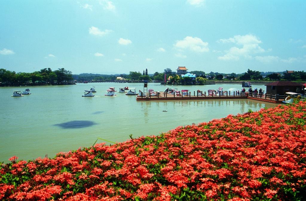 春節走春到台南，在紅樹林水道與湖畔微風裡迎接新年
