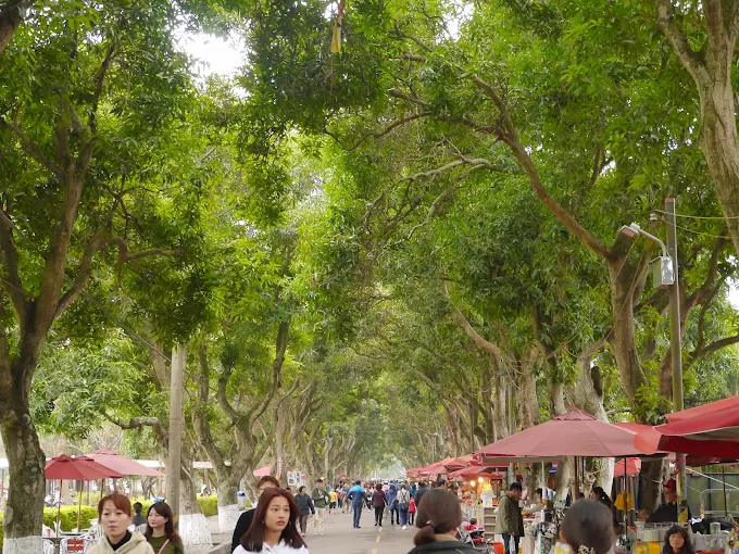 在過年假期的雲林旅遊裡穿梭古蹟與山林，把北港與古坑一次收進行程