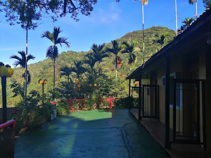 當雲林草嶺起霧時入住綠原休閒渡假飯店，讓山色替你放慢腳步