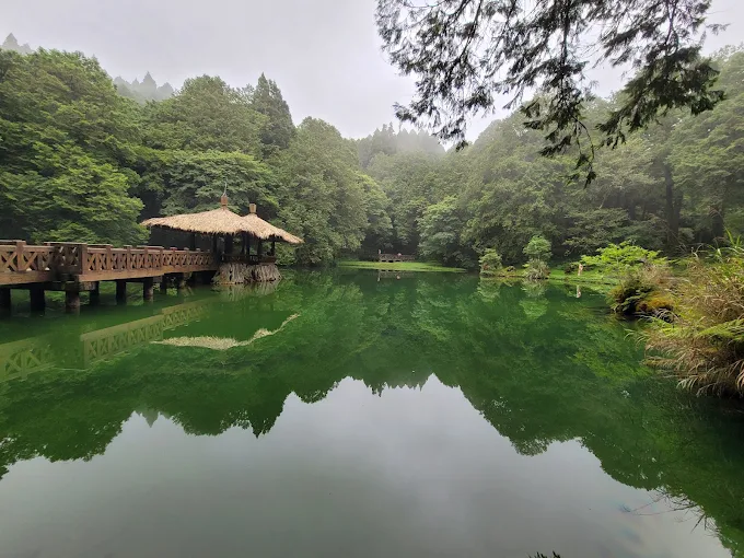 在櫻花盛開的阿里山國家森林遊樂區慢慢登高，看雲海翻湧與山林晨光同時展開